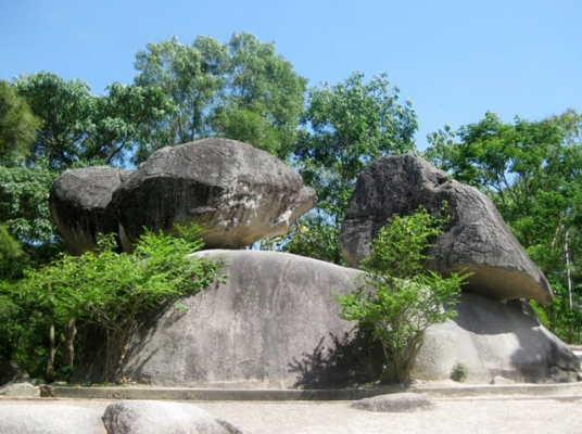 hon-trong-mai-sam-son