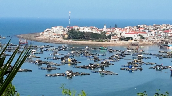 Dao-Nghi-Son-Tinh-Gia-Thanh-Hoa